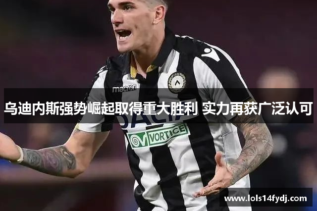 乌迪内斯强势崛起取得重大胜利 实力再获广泛认可