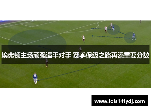 埃弗顿主场顽强逼平对手 赛季保级之路再添重要分数
