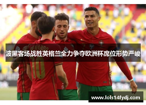 波黑客场战胜英格兰全力争夺欧洲杯席位形势严峻