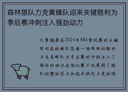 森林狼队力克黄蜂队迎来关键胜利为季后赛冲刺注入强劲动力