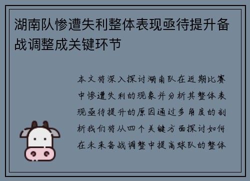 湖南队惨遭失利整体表现亟待提升备战调整成关键环节