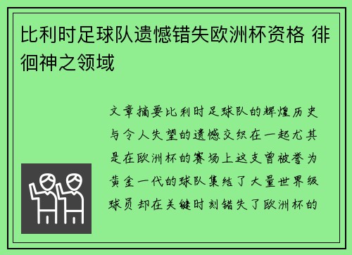比利时足球队遗憾错失欧洲杯资格 徘徊神之领域
