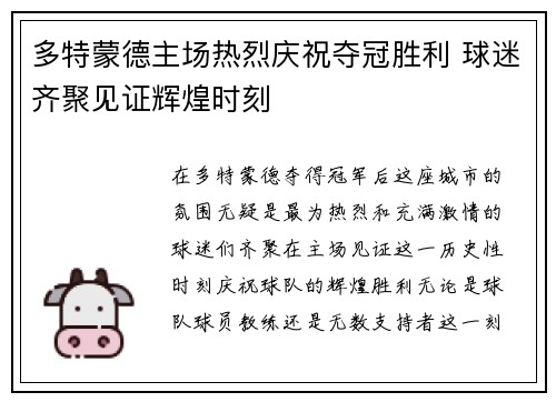 多特蒙德主场热烈庆祝夺冠胜利 球迷齐聚见证辉煌时刻