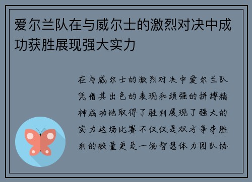爱尔兰队在与威尔士的激烈对决中成功获胜展现强大实力